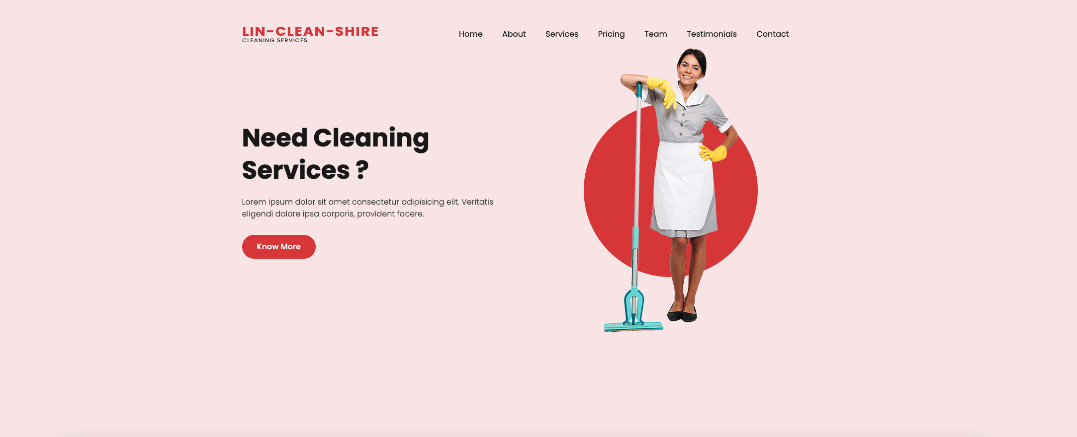 Cleaning Company website